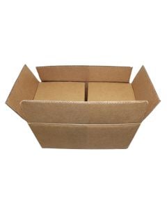 4G/Z10.5 - 2 x 1 Gallon Poly Pail/Bucket Shipper