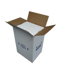 Insulated Styrofoam Cooler (8" x 6" x 9")