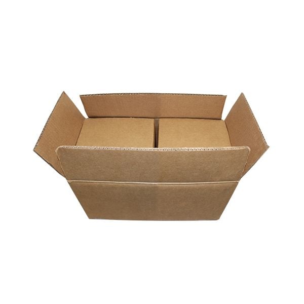 4G/Z10.5 - 2 x 1 Gallon Poly Pail/Bucket Shipper