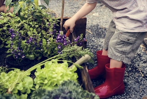 Kid is in a garden for an experience
