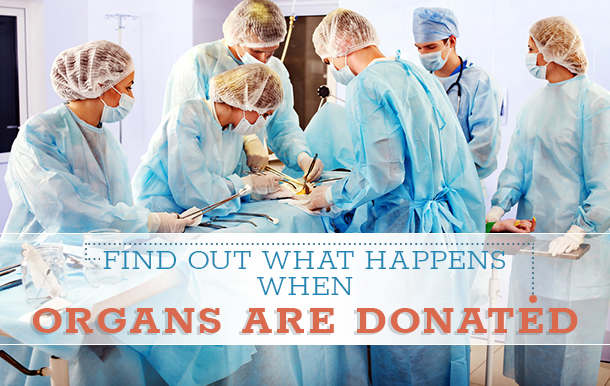 what happens when organs donated