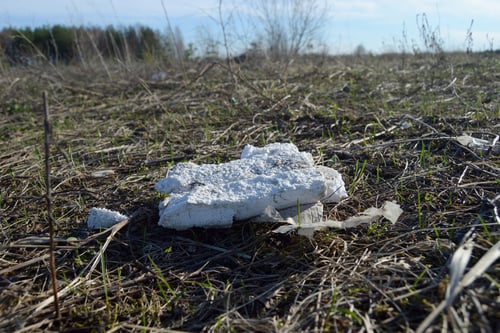 Piece of styrofoam lying in a field in early spring