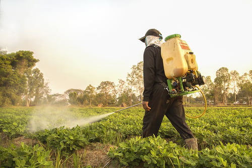 Farmer spraying pesticide