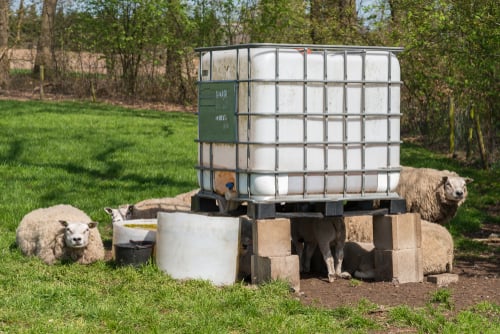 Ibc container